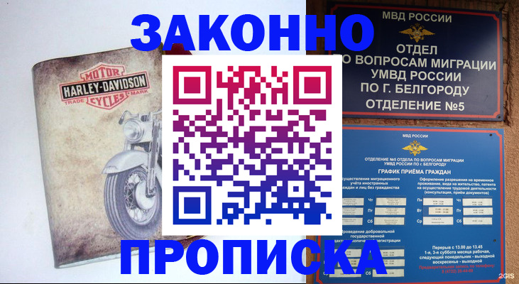 прописка для школы в Кохме